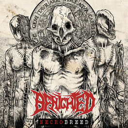 Album cover of Necrobreed