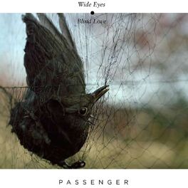 Album cover of Wide Eyes Blind Love