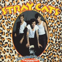 STRAY CATS - ROCKABILLY RULES: STRAY CATS: : Music