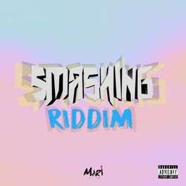 Album cover of Smashing Riddim