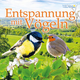 Album cover of Entspannung mit Vögeln