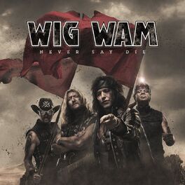 Album cover of Never Say Die