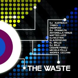 Album cover of The Waste