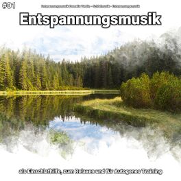 Album cover of #01 Entspannungsmusik als Einschlafhilfe, zum Relaxen und für Autogenes Training
