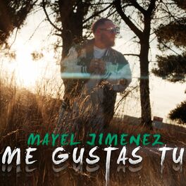 Album cover of Me Gustas Tú