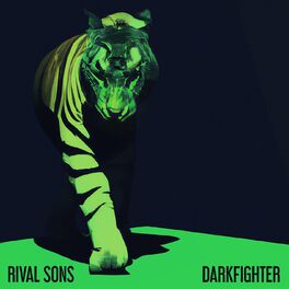 Album cover of DARKFIGHTER