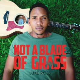 Album cover of Not a Blade of Grass
