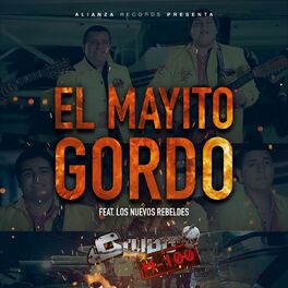 Album cover of El Mayito Gordo