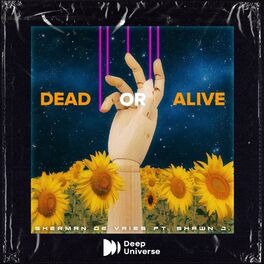 Album cover of Dead Or Alive
