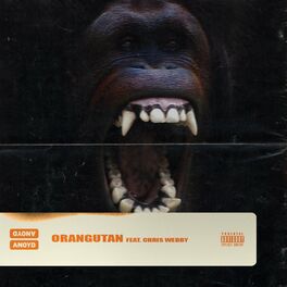 Album cover of Orangutan (feat. Chris Webby)
