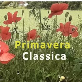 Album cover of Primavera Classica