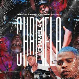 Album cover of Chamela (feat. TOSS)