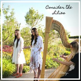 Album cover of Consider the Lilies