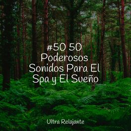 Album cover of #50 50 Poderosos Sonidos Para El Spa y El Sueño
