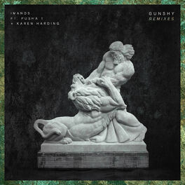 Album cover of Gunshy (Remixes)