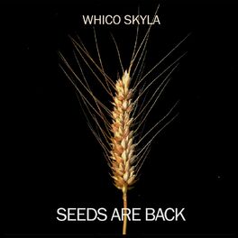 Album cover of Seeds Are Back