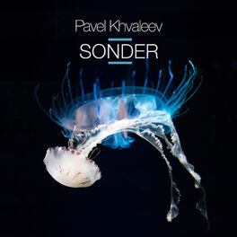 Album cover of Sonder