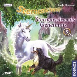 Album cover of Teil 5: Sternenschweifs Geheimnis