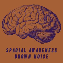 Album cover of Spacial Awareness Brown Noise