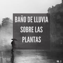El silencio de las plantas (Spanish Edition)