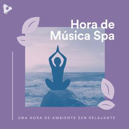 Album cover of 1 Hora de Ambiente Zen Relajante