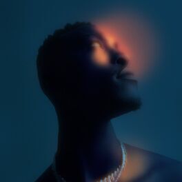 Album cover of Raptor