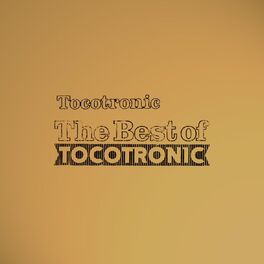 Album cover of The Best of Tocotronic