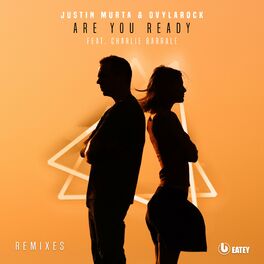 Album cover of Are You Ready (Remixes)