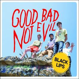 Album cover of Good Bad Not Evil