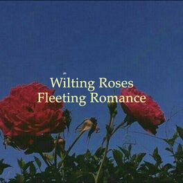 Album cover of Wilting Roses, Fleeting Romance