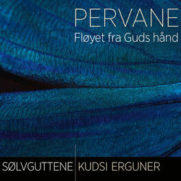 Album cover of Pervane - Fløyet fra Guds hånd