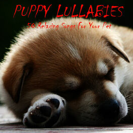Album cover of Puppy Lullabies: 50 Relaxing Songs for Your Pet