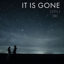 Album cover of It Is Gone