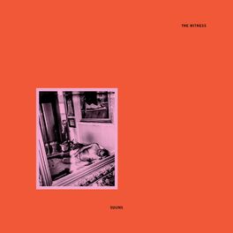 Album cover of The Witness