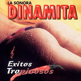 Album cover of Éxitos Tropicosos