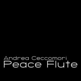 Album cover of Peace Flute