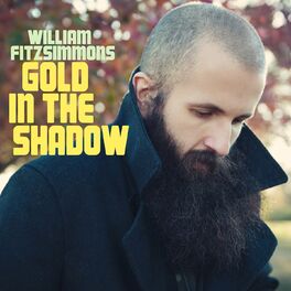 Album cover of Gold in the Shadow