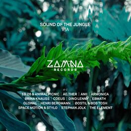Album cover of Sound of the Jungle
