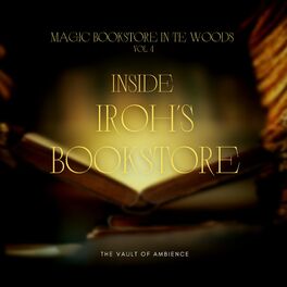 Album cover of Inside Iroh's Bookstore (feat. Benoît Vanhoffelen)
