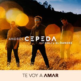 Album cover of Te Voy a Amar
