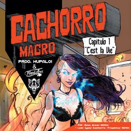 Album cover of Capítulo 1 - C'est la vie