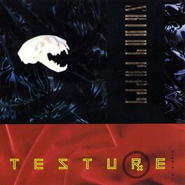 Album cover of Testure