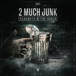 Album cover of 2 Much Junk