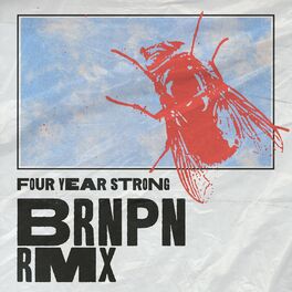 Album cover of BRNPN RMX