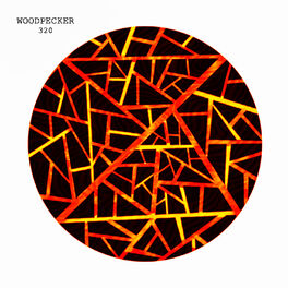 Album cover of 320