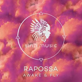 Album cover of Awake & Fly