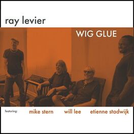 Album cover of Wig Glue (feat. Mike Stern, Will Lee & Etienne Stadwijk)