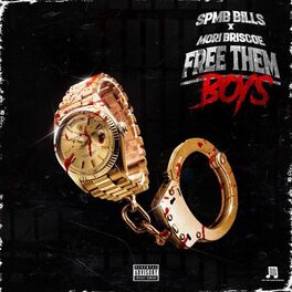 Album cover of FREE THEM BOYZ (feat. Mori Briscoe)