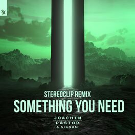 Album cover of Something You Need (Stereoclip Remix)