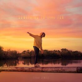 Album cover of something to live for